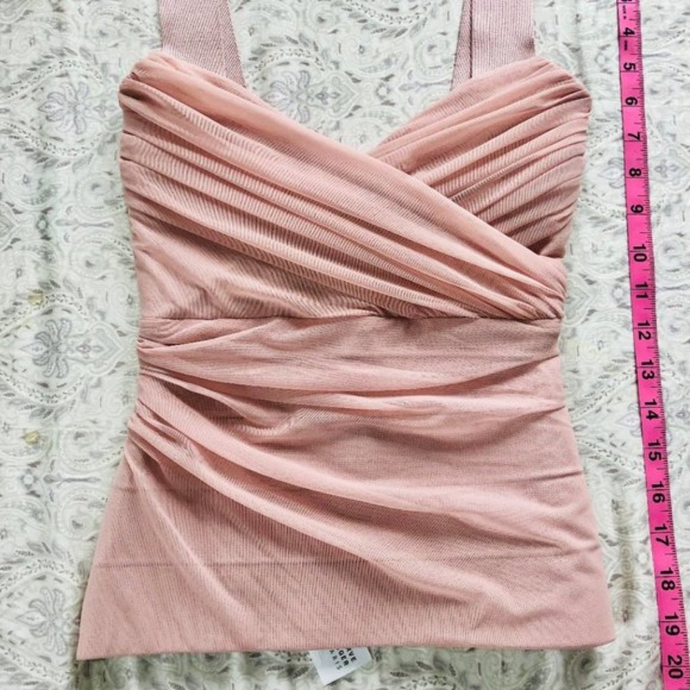 NWT Herve Leger Pink Sheer Top
